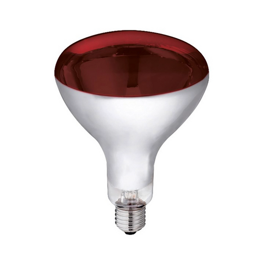 250W Infra-Red light Bulb