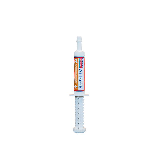 picture At Birth Syringe 30grm