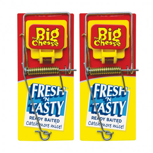 Double pack of mouse traps from big cheese