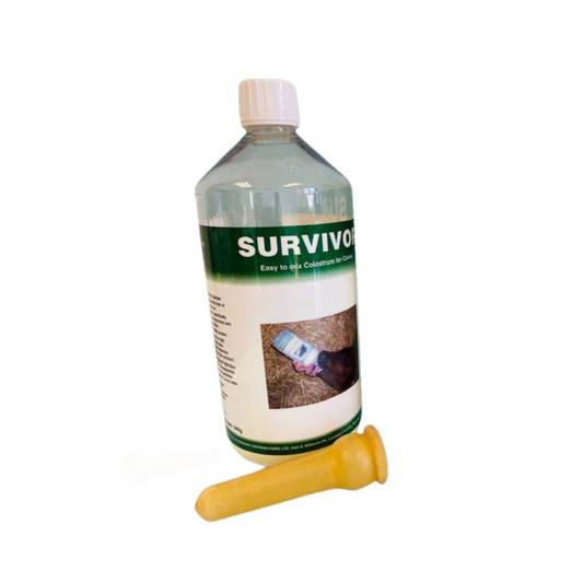 bottle of Survivor 1L 