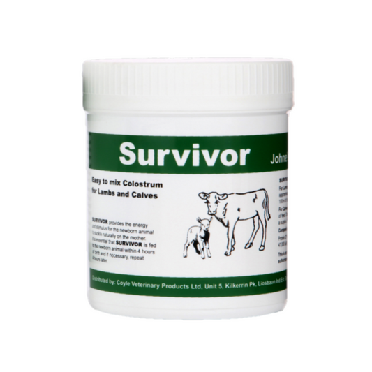 tub of Survivor 200g