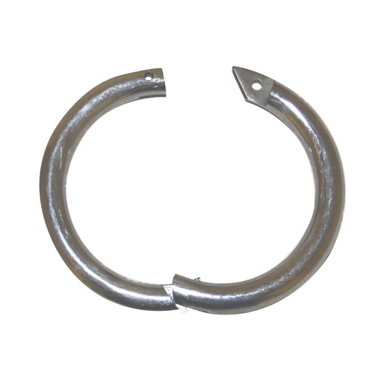 Stainless Steel Bullring 3"