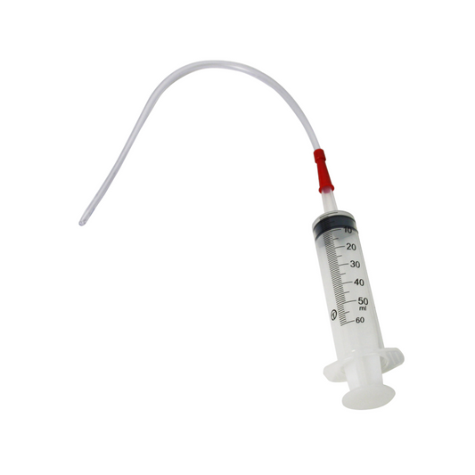 Lamb Syringe & Catheter